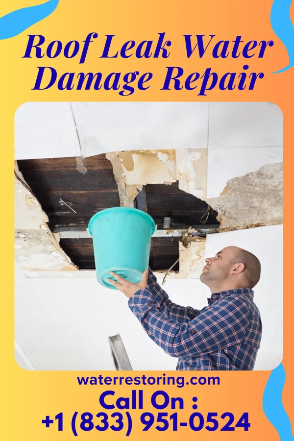 Roof Leak Water Damage Repair in Elizabethton, TN