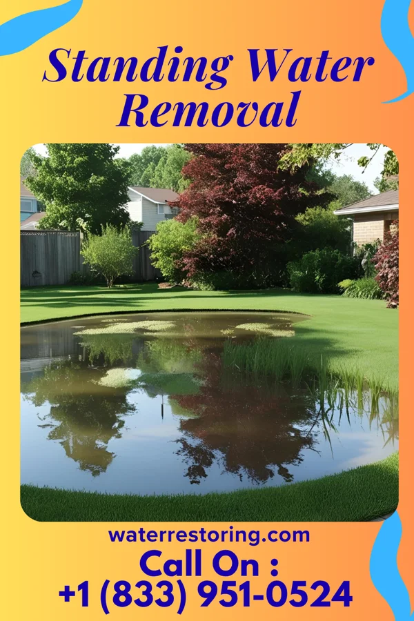 Standing Water Removal in Elizabethton, TN